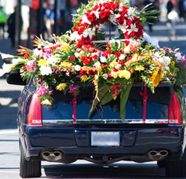 banner_bottom_img2