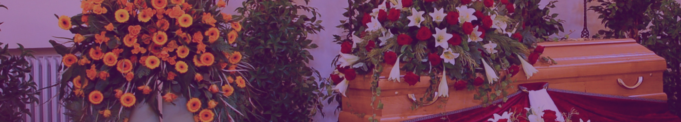 services_banner